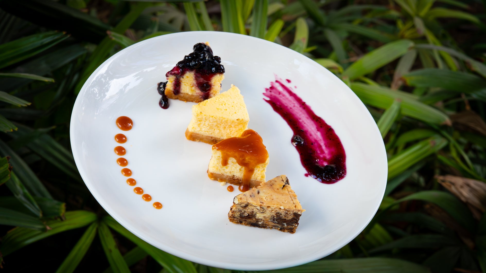 A beautifully plated dessert selection featuring classic cheesecake with berry compote and caramel drizzle.