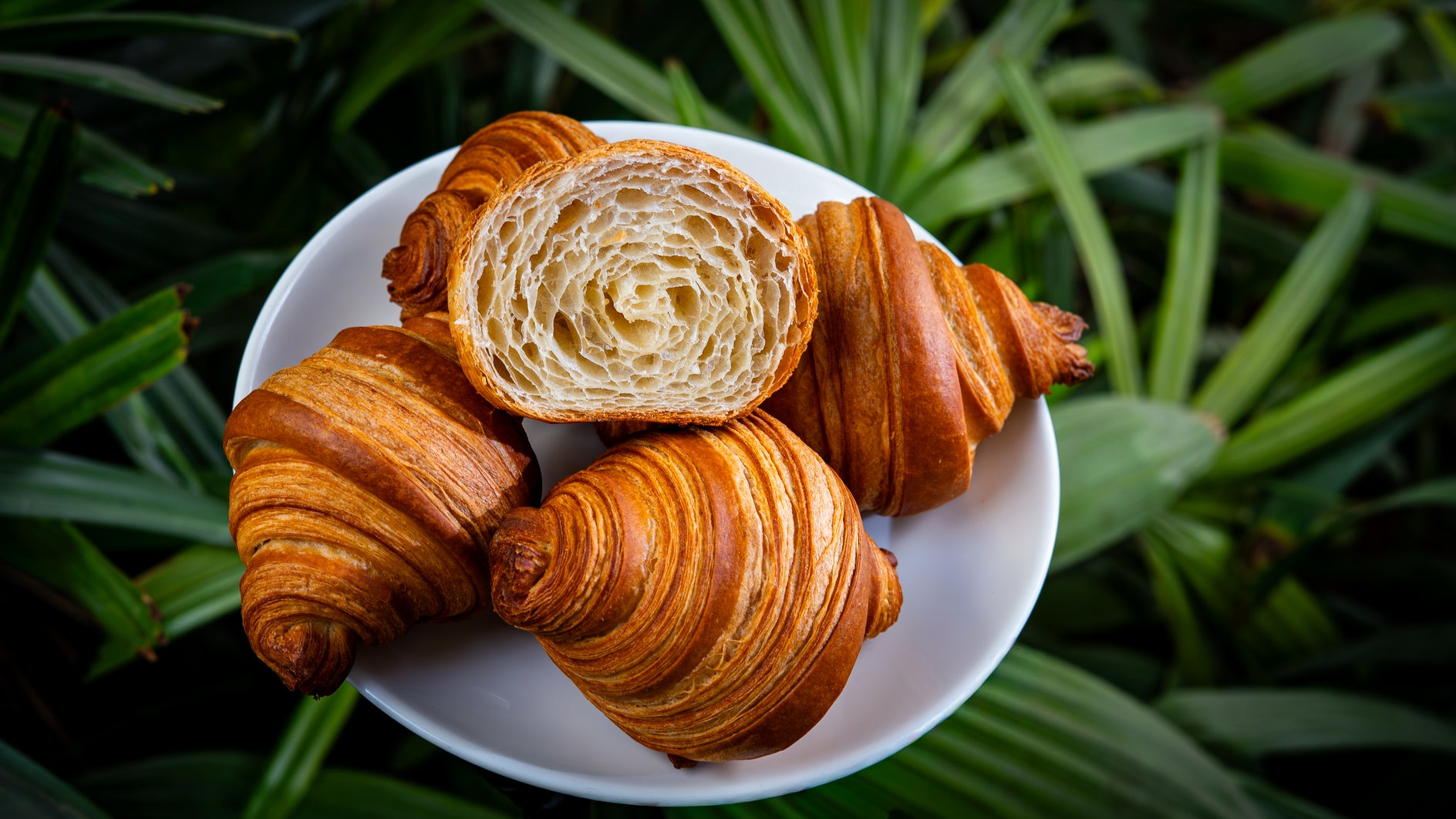 Freshly baked, golden-brown croissants cut open to show flaky, buttery layers on a plate at Bae-Kri bakery.