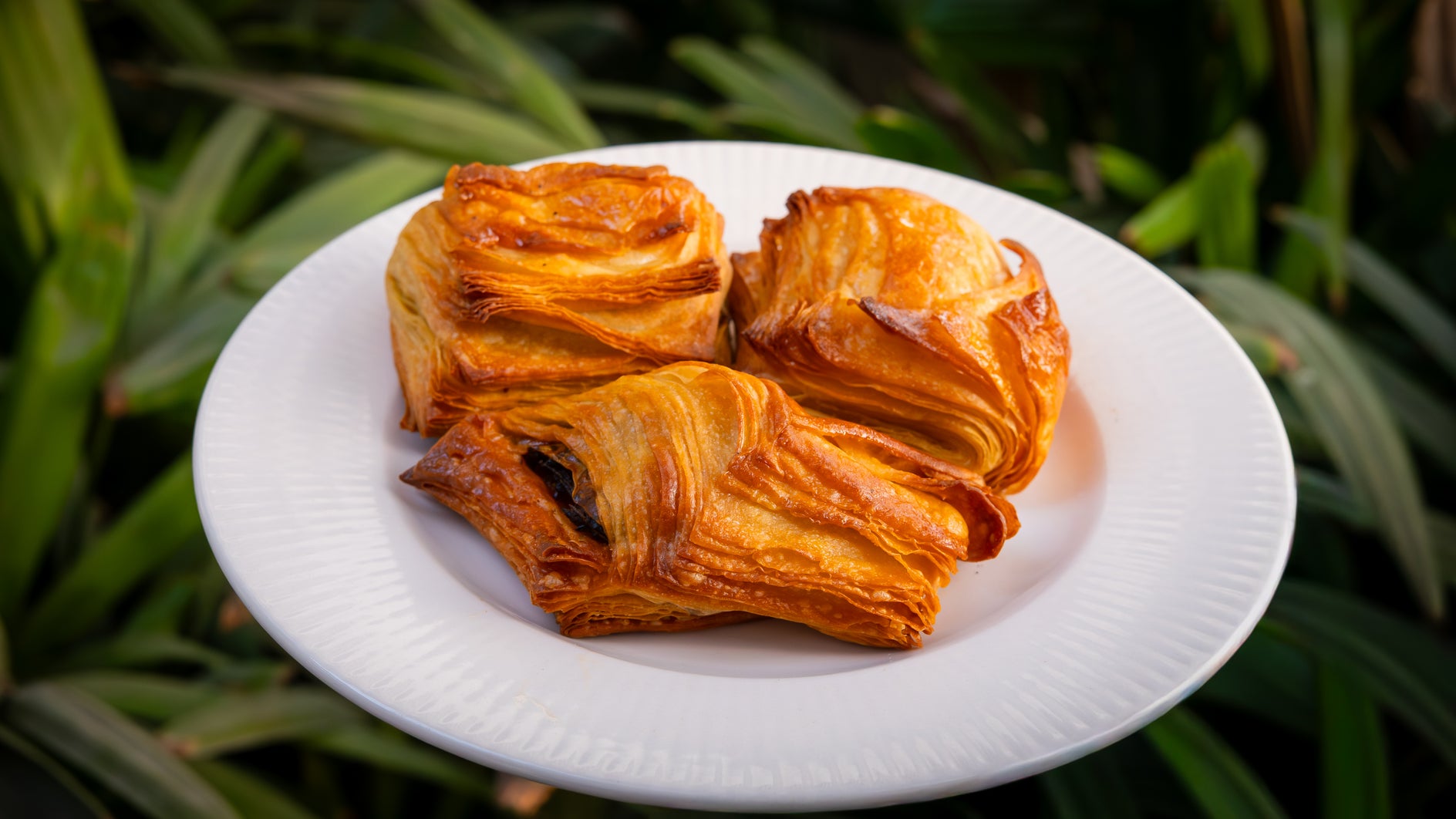Crisp, golden Pain Suisse pastries with layered chocolate chips served fresh on a white plate.